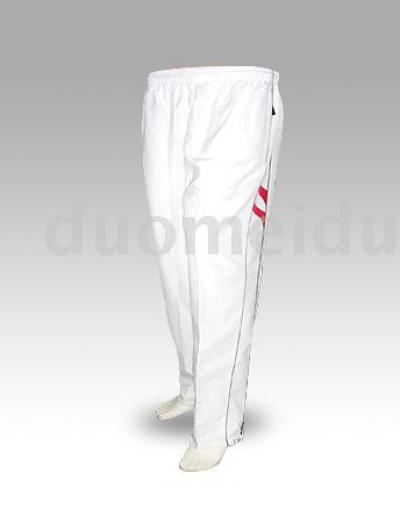 DT042 jogging pant (DT042 брюки бега)