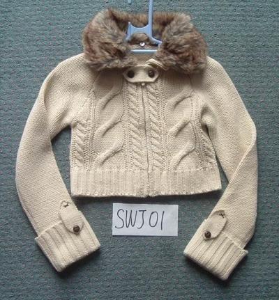Ladies Sweater (Ladies Sweater)