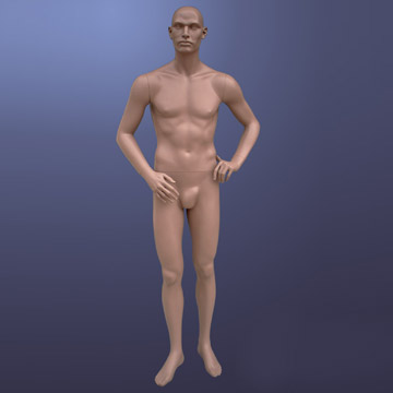 Male Mannequin (Мужской манекен)