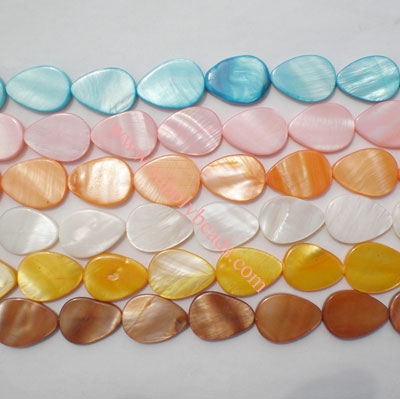 Shell Beads