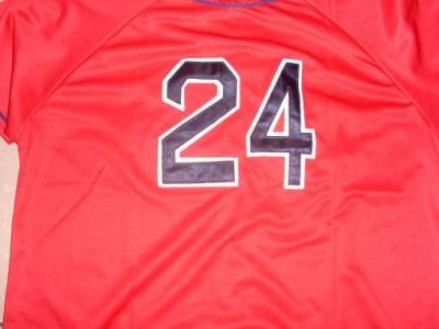 Kinds of sport jerseys(accept Paypal)