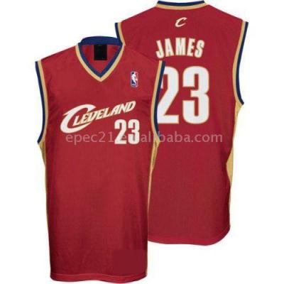 #23 James Basketball Jersey