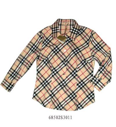 Famous Brand Ladies` Long-sleeve Shirt (Famous Brand Ladies` Long-sleeve Shirt)
