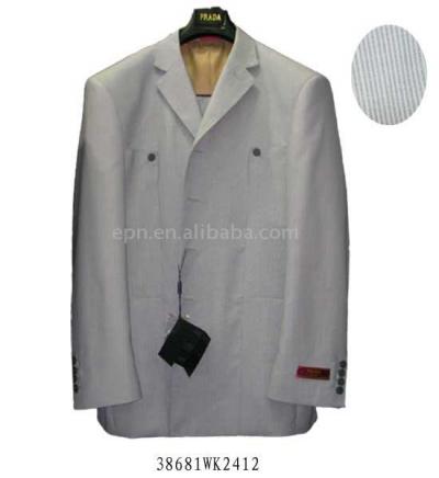 Brand Authentic Men`s Business Suit (Brand Authentic Men`s Business Suit)