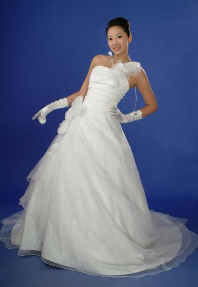 Wedding Dress; Dinner Dress; Bridemaids Dress (Wedding Dress; Dinner Dress; Bridemaids Dress)