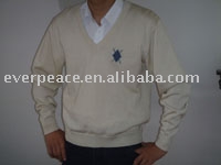 Men`s Sweater (Men`s Sweater)