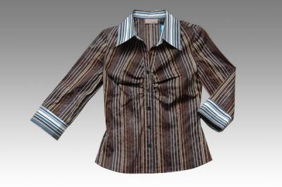 ladies` shirt (ladies` shirt)