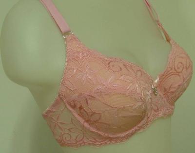 Bra (CXB508) / Lace Bra / Underwear (Bra (CXB508) / Lace Bra / Underwear)