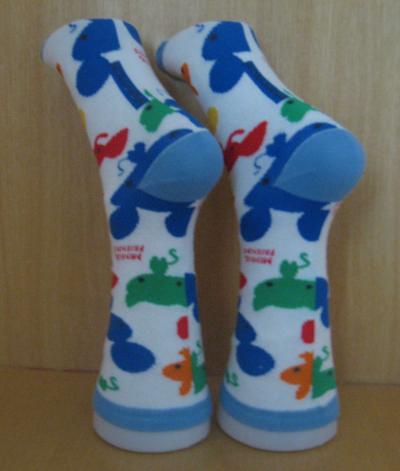 women socks (women socks)