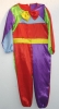 clown costume (Clownkostüm)