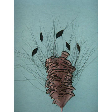 Feather Trimming (Feather Trimmen)