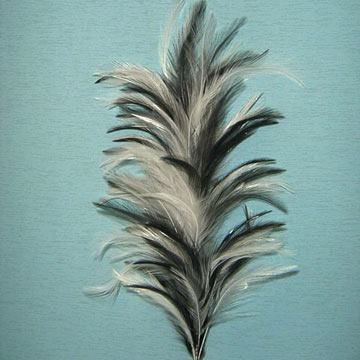 Feather Trimming (Feather Trimmen)