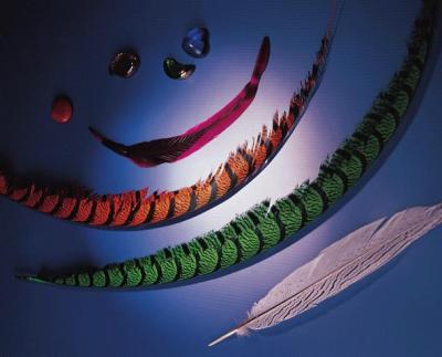 feather product (Feder Produkt)