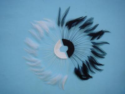 feather fan (Federfächer)