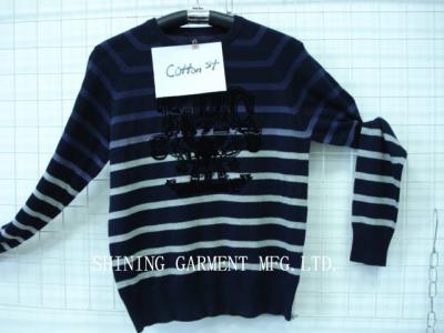 sweater (sweater)