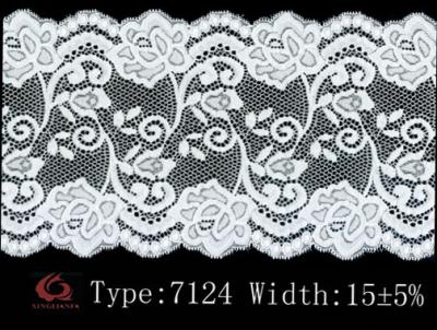 stretch lace (en dentelle extensible)