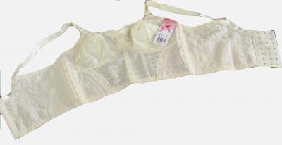 Shaperwear with Jacquard Net (Shaperwear with Jacquard Net)
