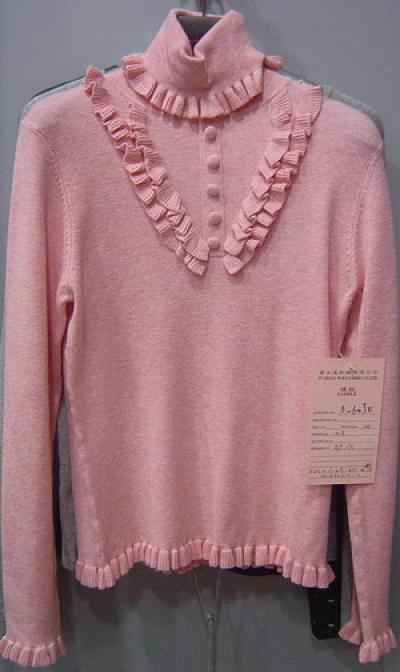 Ladies` Sweater (Ladies` Sweater)