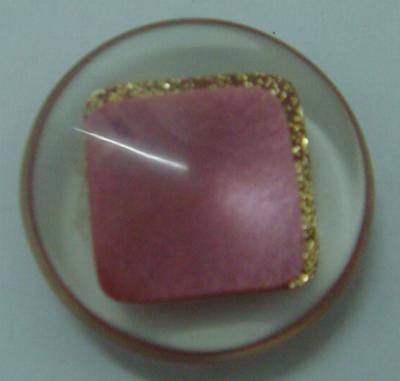 coat button (manteau bouton)