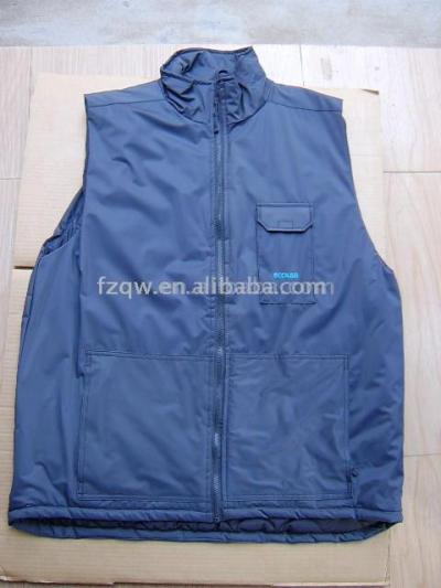 Winter vest (Veste d`hiver)