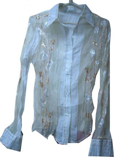 Ladies` blouse (Ladies `Bluse)
