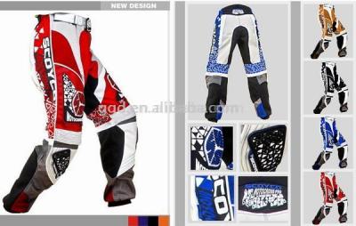 motorcycle pants (Motorrad Jacken)