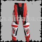 motorcycle pants (Motorrad Jacken)