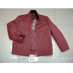 leather coat (leather coat)