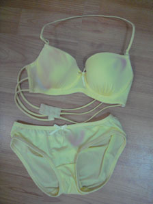 ladies` underwear (ladies` underwear)