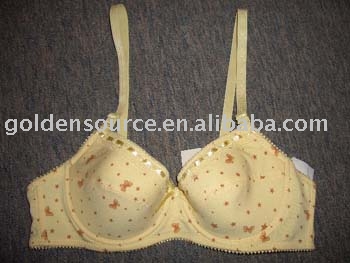 Ladies` underwear (Ladies `Unterwäsche)