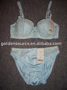 Ladies lingerie set (Ladies lingerie set)