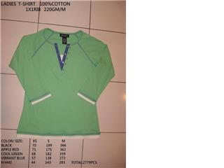 Ladies T-Shirt (Ladies T-Shirt)