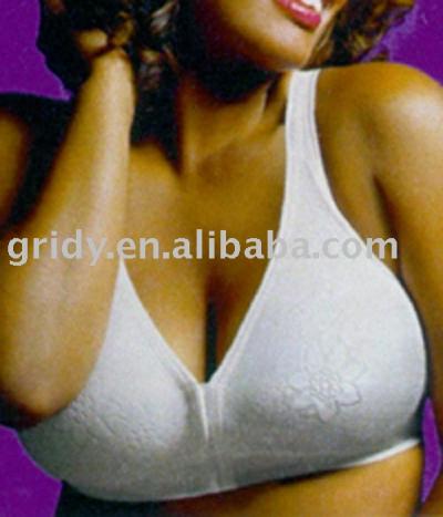2008 Fashion Low Price Classic Bra %26 Underwear (2008 Fashion Low Price Classic Bra %26 Underwear)