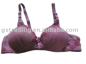 fish net fabric ladies` bra (Сачок дам ткань `бюстгальтер)