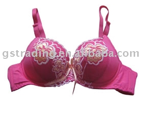 fish net fabric ladies` bra (Сачок дам ткань `бюстгальтер)