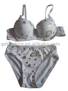 ladies underwear (ladies underwear)