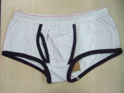 underwear (underwear)