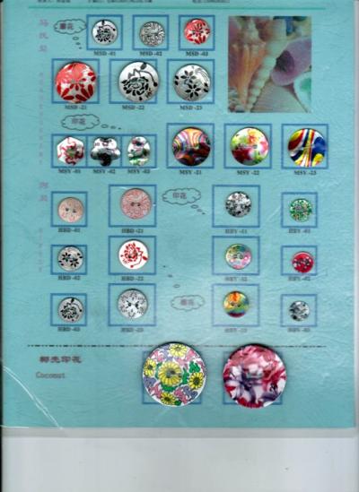 shell buttons (shell buttons)