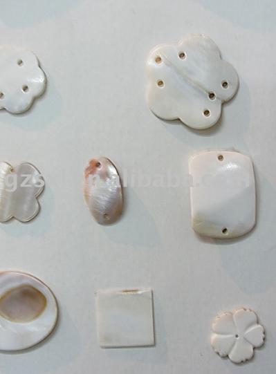 B21-Shell-Taste (B21-Shell-Taste)