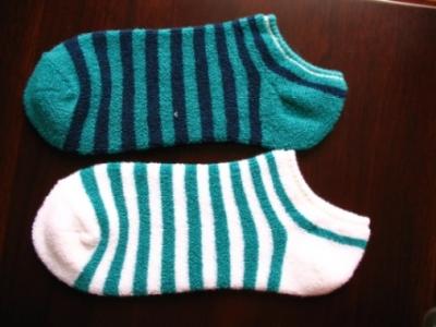 Terry Sock (Terry Sock)