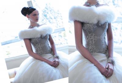 Evening Apparel, Fashion Dress (Soirée Vêtements, Fashion Dress)