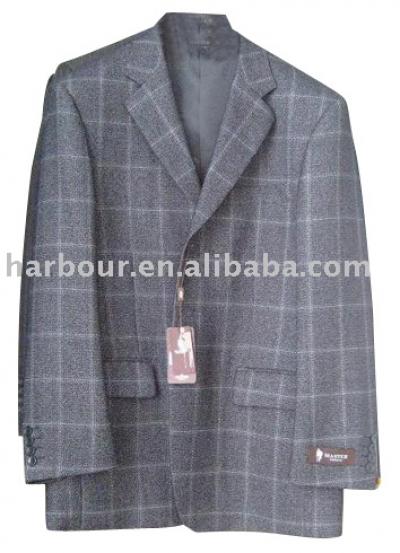 Men`s Suit (Men`s Suit)