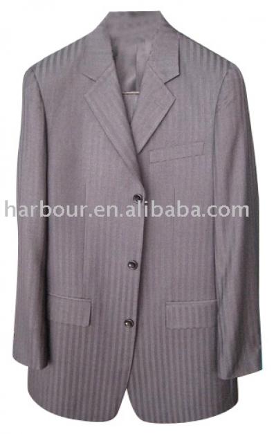 Men`s Suit (Men`s Suit)