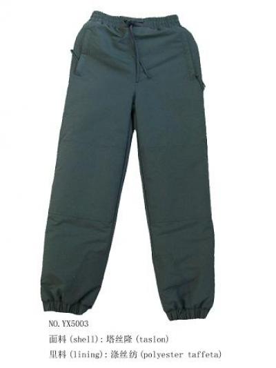 Work Pants (Work Pants)