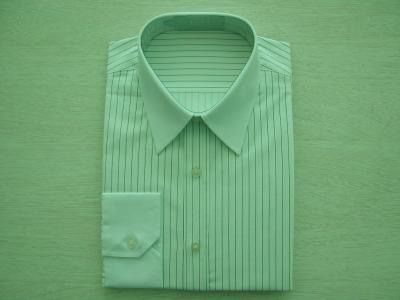 men`s print stripe shirt (men`s print stripe shirt)