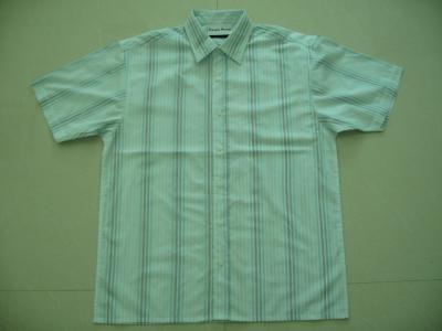 men`s shirt (men`s shirt)