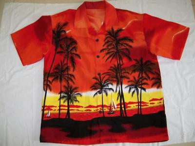 Shirt (Shirt)