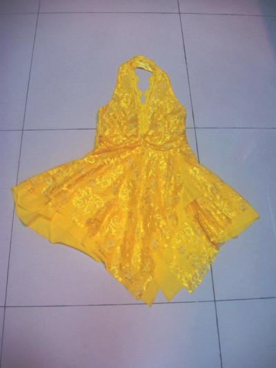 Women`s Dress (Women`s Dress)