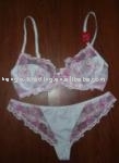 Hot promotion---Lady`s underwear (Hot promotion---Lady`s underwear)