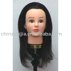 Mannequin head